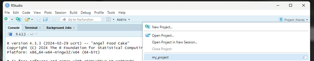 Screenshot of RStudio open new project menu